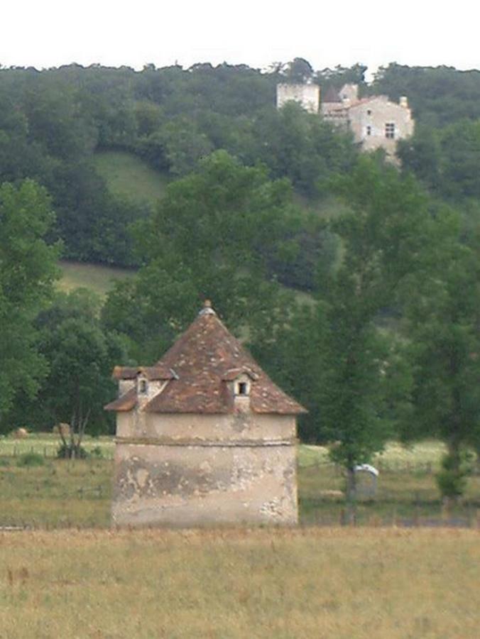 Hotel Le Relais Du Chateau Grignols  Esterno foto