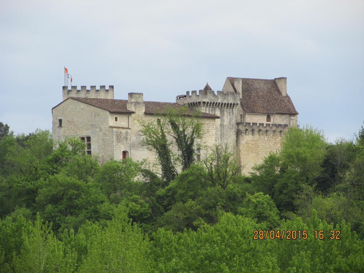 Hotel Le Relais Du Chateau Grignols  Esterno foto