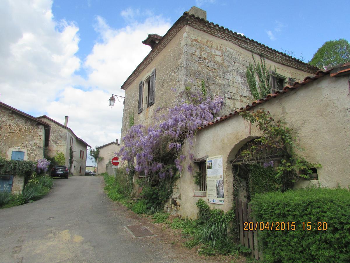 Hotel Le Relais Du Chateau Grignols  Esterno foto